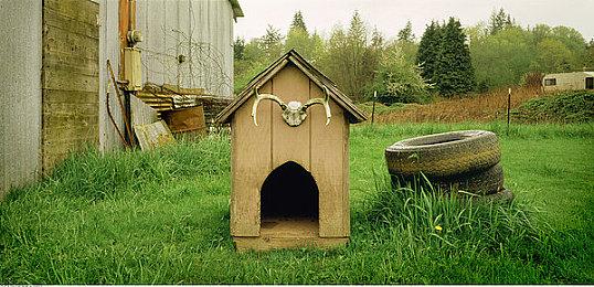 《剑侠情缘之谢云流传》新实机演示 展示攀爬跳跃战斗